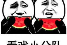 吃瓜娱乐小狗表情包,萌态可掬，笑点满满